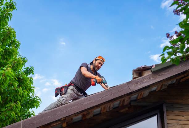 Best Solar Panel Roofing Installation  in Wurtland, KY
